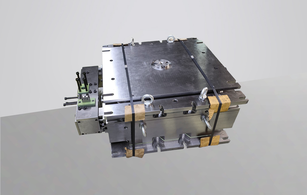 Mold 5